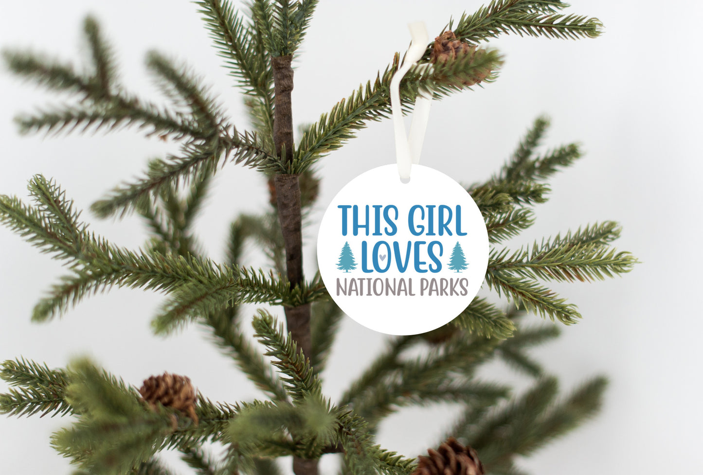 This Girl Loves National Parks Christmas Ornament