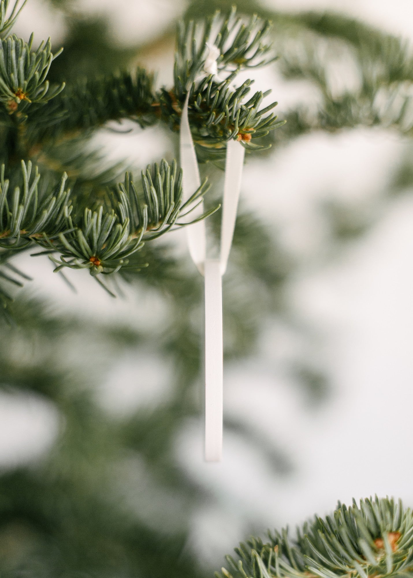 Take Me to the Mountains for Christmas Ornament