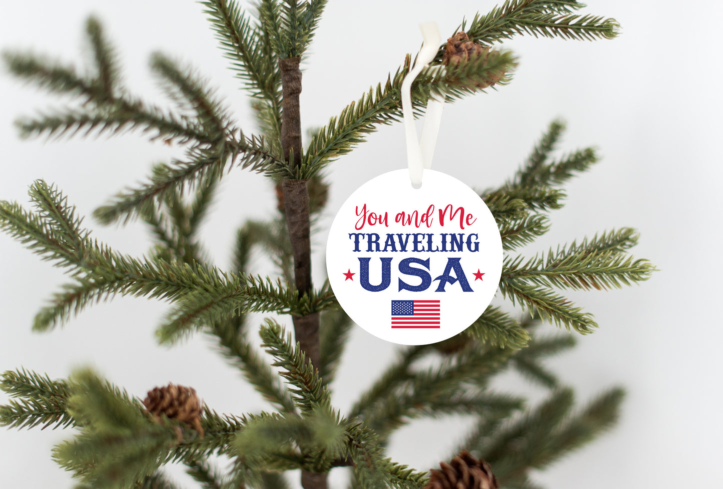 You and Me Traveling USA Ornament - Patriotic Colors